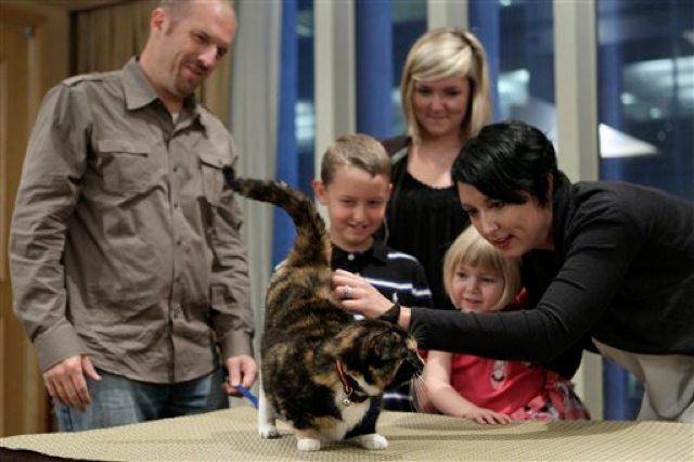 Willow the cat is reunited with the Squires family